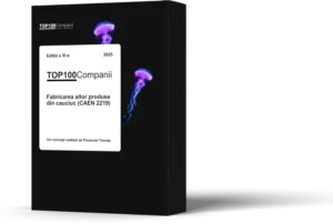 Top 100 Companii – Fabricarea altor produse din cauciuc