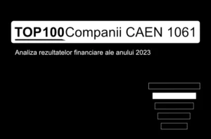O imagine care conține textul "TOP 100 Companii CAEN 1061. Analiza rezultatelor financiare ale anului 2023"