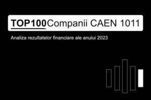 O imagine reprezentativă pentru articol care conține textul "TOP 100 Companii CAEN 1011. Analiza rezultatelor financiare ale anului 2023"