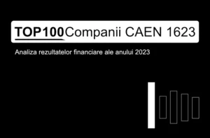 O imagine care conține textul "TOP 100 Companii CAEN 1623. Analiza rezultatelor financiare ale anului 2023"