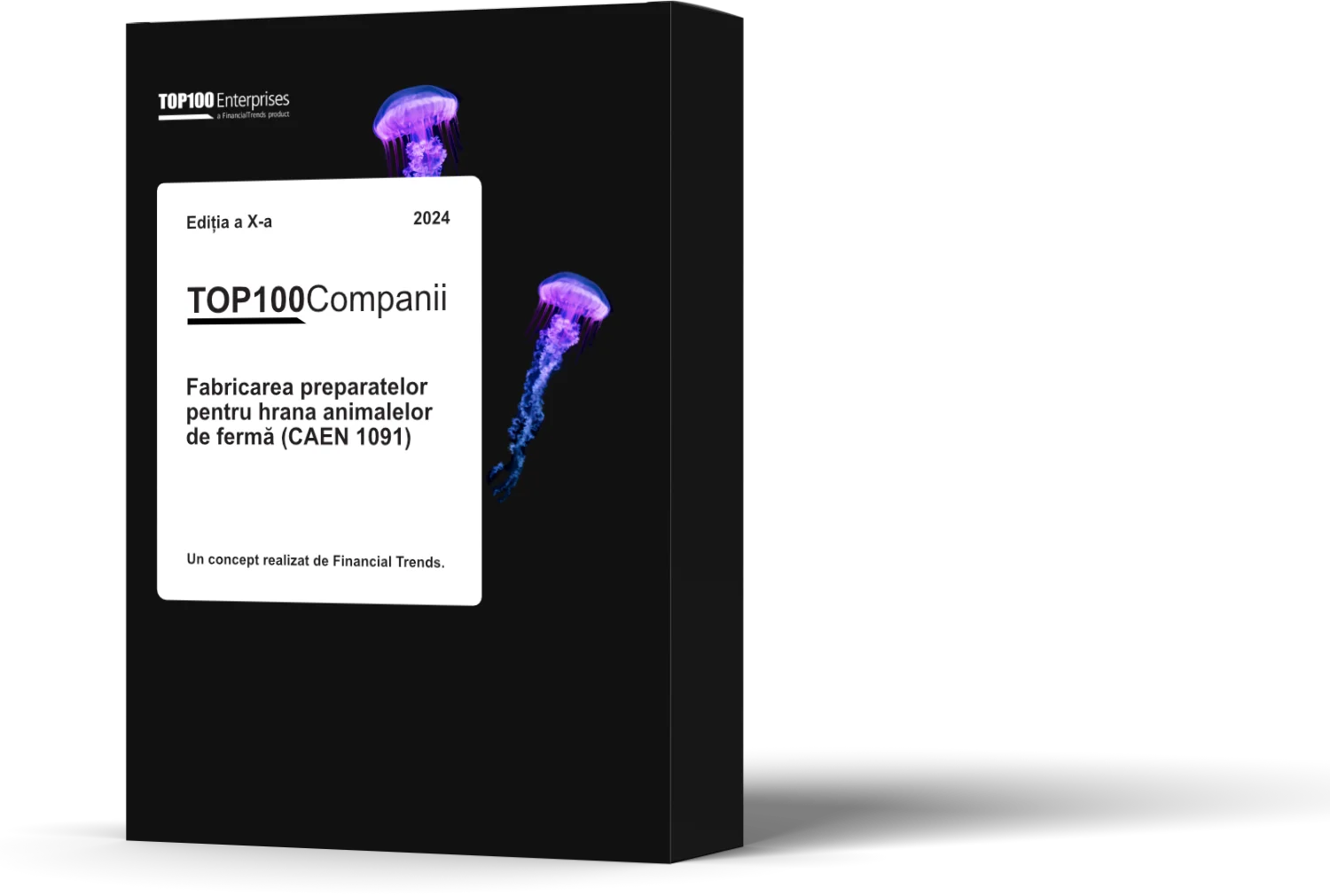 Copertă raport "TOP 100 Companii CAEN 1091 Editia a X-a"
