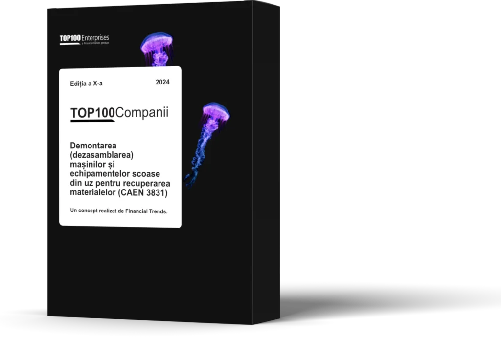 Copertă raport "TOP 100 Companii CAEN 3831 Editia a X-a"