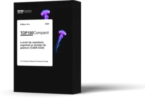 Top 100 Companii – Lucrari de vopsitorie, zugraveli si montari de geamuri