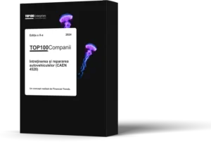 Top 100 Companii – Intretinerea si repararea autovehiculelor