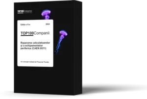 Top 100 Companii – Repararea calculatoarelor si a echipamentelor periferice