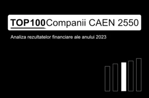 O imagine care conține textul "TOP 100 Companii CAEN 2550. Analiza rezultatelor financiare ale anului 2023"