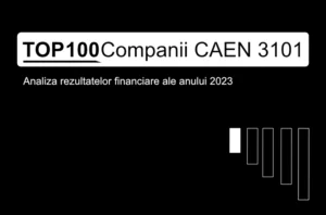 O imagine care conține textul "TOP 100 Companii CAEN 3101. Analiza rezultatelor financiare ale anului 2023"