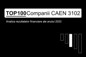 O imagine care conține textul "TOP 100 Companii CAEN 3102. Analiza rezultatelor financiare ale anului 2023"