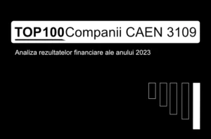 O imagine care conține textul "TOP 100 Companii CAEN 3109. Analiza rezultatelor financiare ale anului 2023"