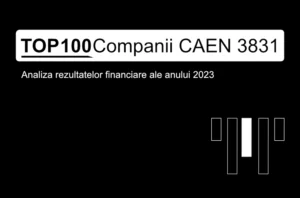 O imagine care conține textul "TOP 100 Companii CAEN 3831. Analiza rezultatelor financiare ale anului 2023"