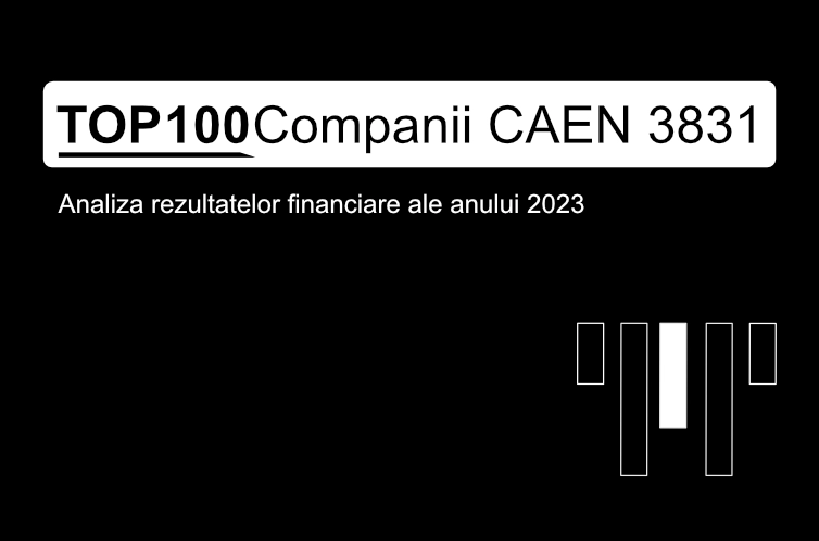 O imagine care conține textul "TOP 100 Companii CAEN 3831. Analiza rezultatelor financiare ale anului 2023"