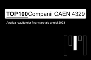 O imagine care conține textul "TOP 100 Companii CAEN 4329. Analiza rezultatelor financiare ale anului 2023"