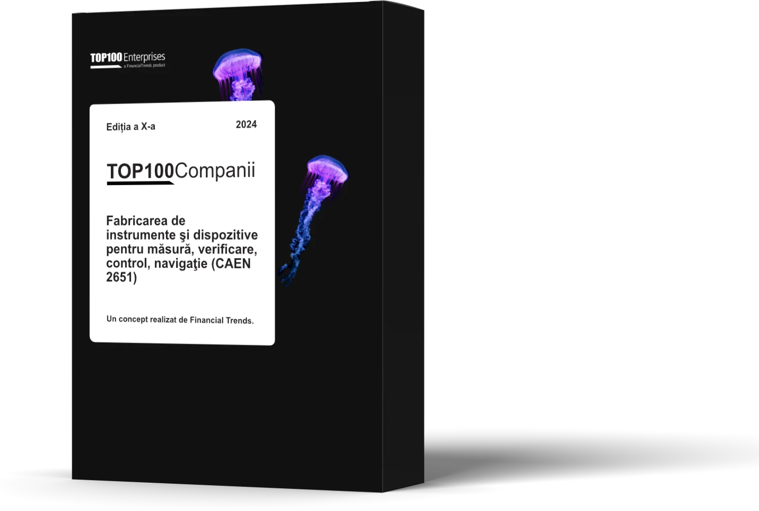 Copertă raport "TOP 100 Companii CAEN 2651 Editia a X-a"