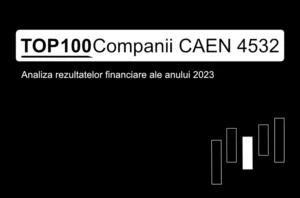 O imagine care conține textul "TOP 100 Companii CAEN 4532. Analiza rezultatelor financiare ale anului 2023"