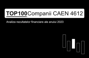 O imagine care conține textul "TOP 100 Companii CAEN 4612. Analiza rezultatelor financiare ale anului 2023"