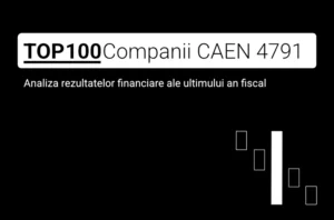 O imagine care conține textul "TOP 100 Companii CAEN 4791. Analiza rezultatelor financiare ale ultimului an fiscal"